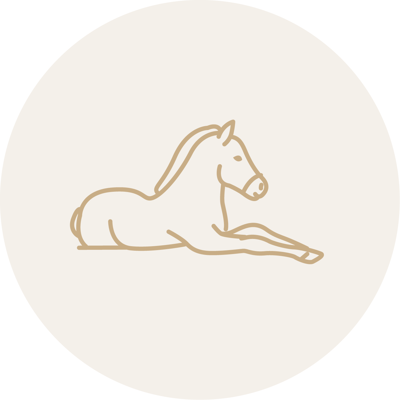 icon-3-offenstallgruppe-oldies