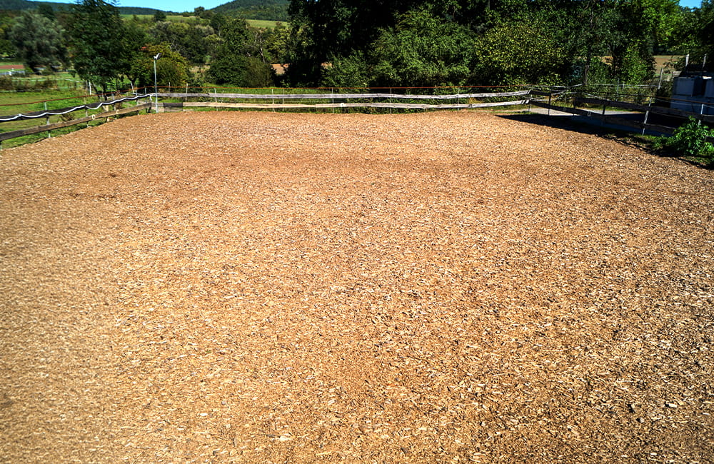 reitplatz-grizzly-ranch-neudrossenfeld-1 (1)